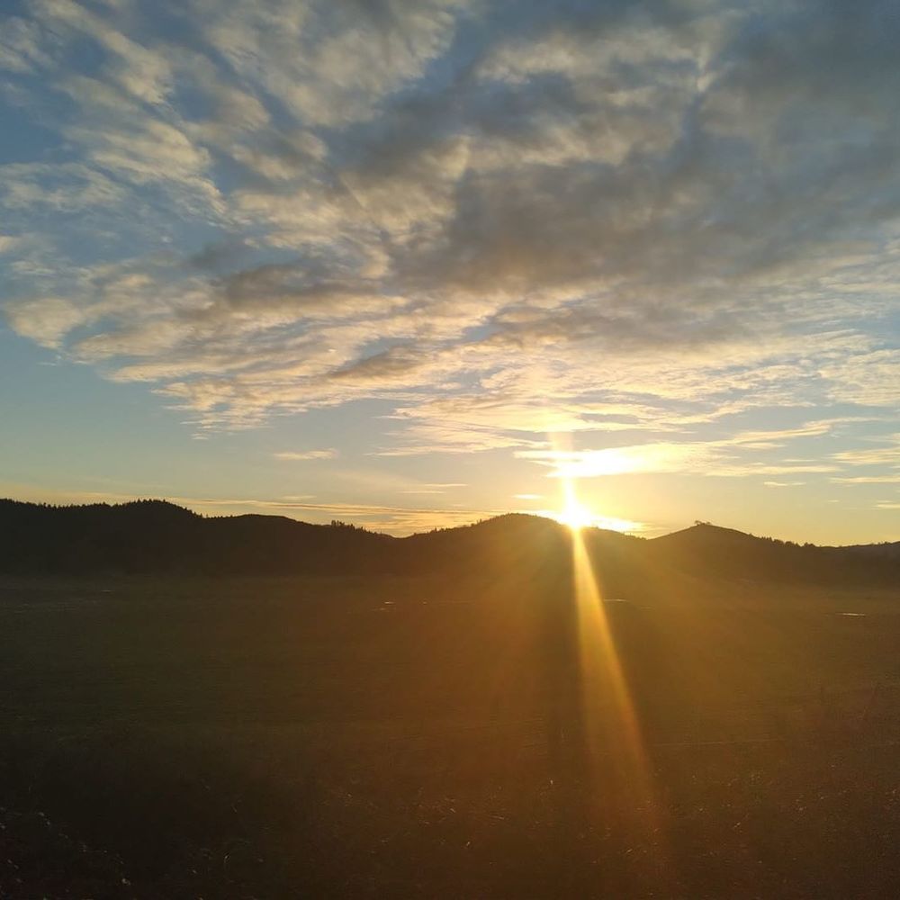 Meet your Posher, Brett